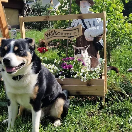 شقة Glueck Auf Brand-Erbisdorf
